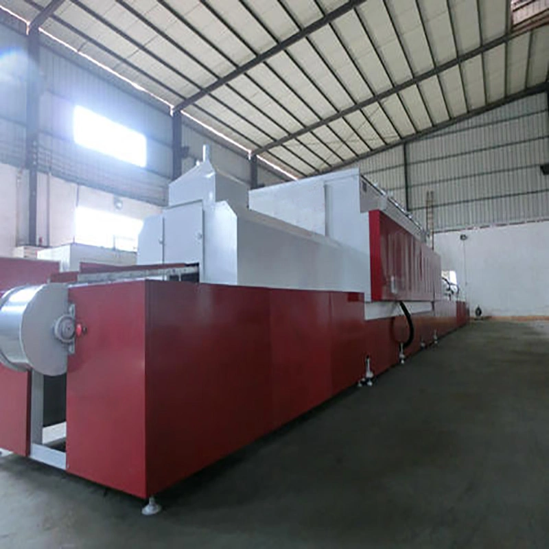 Mesh Belt Continuous Bright Annealing Electric Resistance Furnace From Molly